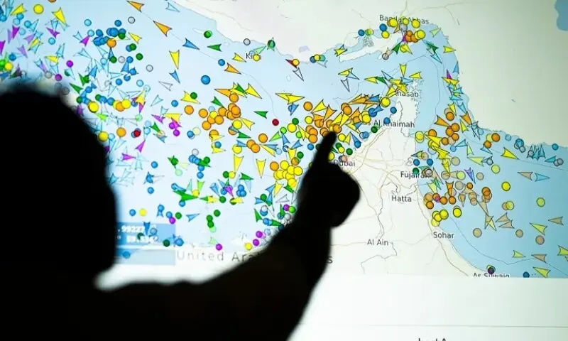 Vessel movements in the Strait of Hormuz on a ship-tracking website. —AFP