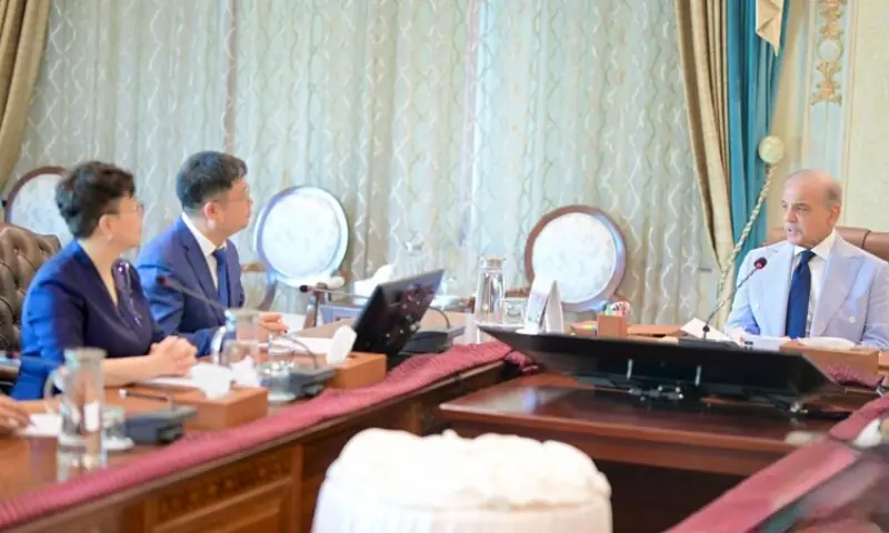 Prime Minister Shehbaz Sharif chairs a meeting with a Chinese business delegation in Islamabad on 15 May 2026. &mdash; PID