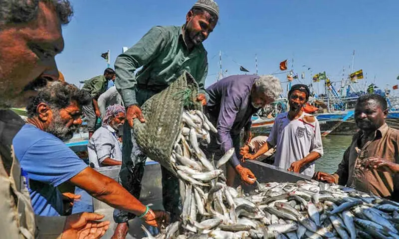 THE government has announced setting up a 100-acre seafood export processing facility at the Korangi Fisheries Harbour Authority to promote the blue economy.—Reuters/file THE government has announced setting up a 100-acre seafood export processing facility at the Korangi Fisheries Harbour Authority to promote the blue economy.—Reuters/file