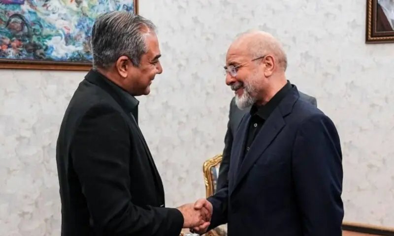 Interior Minister Mohsin Naqvi meets  Iran&rsquo;s Parliamentary Speaker Bagher Ghalibaf on May 17. &mdash; IRNA