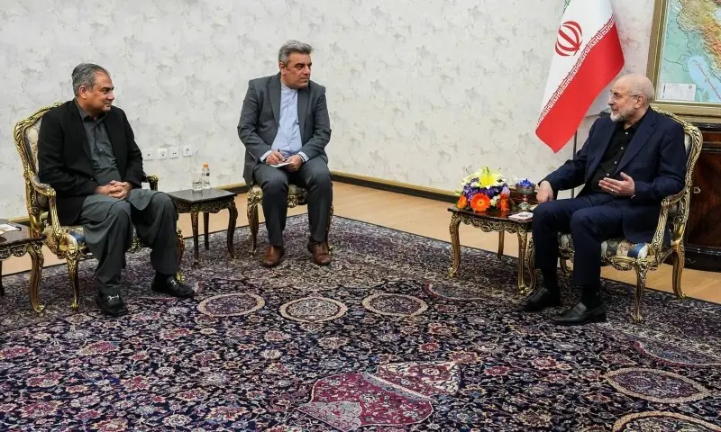  Interior Minister Mohsin Naqvi meets Iran&rsquo;s Parliamentary Speaker Bagher Ghalibaf on May 17. &mdash; Press TV 