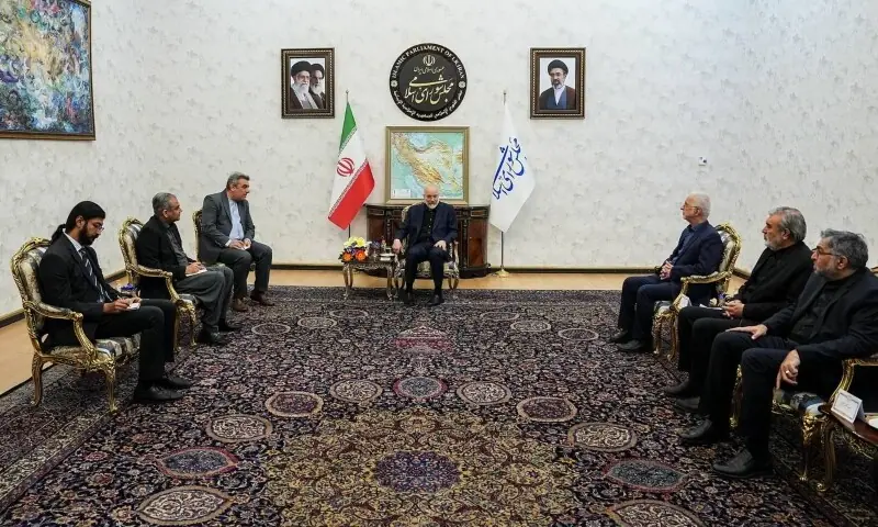  Interior Minister Mohsin Naqvi meets Iran&rsquo;s Parliamentary Speaker Bagher Ghalibaf on May 17. &mdash; Press TV 