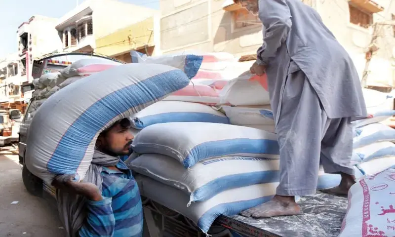 A labourer unloads the bag of wheat flour from a truck. — White Star/File A labourer unloads the bag of wheat flour from a truck. — White Star/File