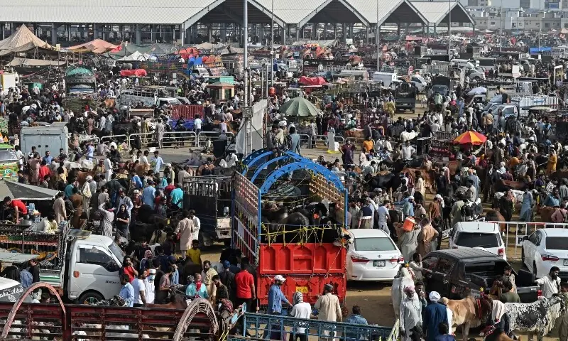 Customers gather at a cattle market ahead of Eidul Azha in Lahore on May 24, 2026. — AFP Customers gather at a cattle market ahead of Eidul Azha in Lahore on May 24, 2026. — AFP