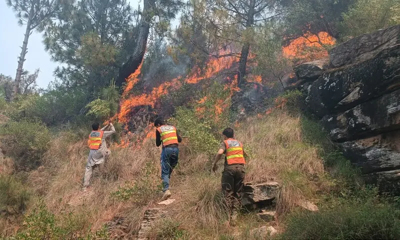 Rescue 1122 personnel try to put out a forest fire in Talash area of Lower Dir on Monday. — Photo by Haleem Asad Rescue 1122 personnel try to put out a forest fire in Talash area of Lower Dir on Monday. — Photo by Haleem Asad