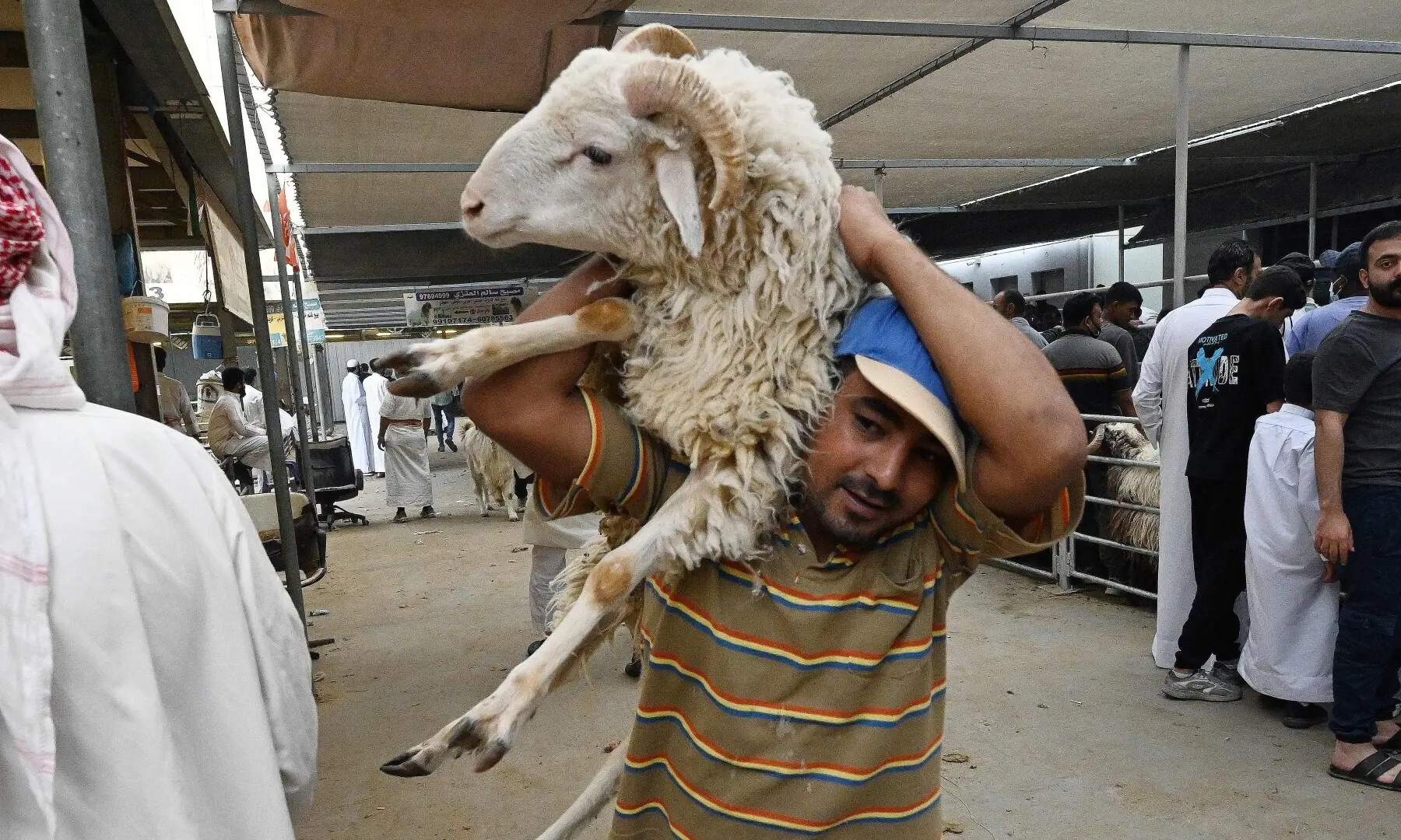 A man carries a sheep at a slaughterhouse in Kuwait City on May 27, 2026, on the first day of Eid al-Adha. — Reuters