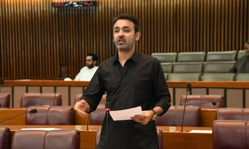 PPP MNA Ali Musa Gilani speaks during a National Assembly session.&mdash; National Assembly X/File