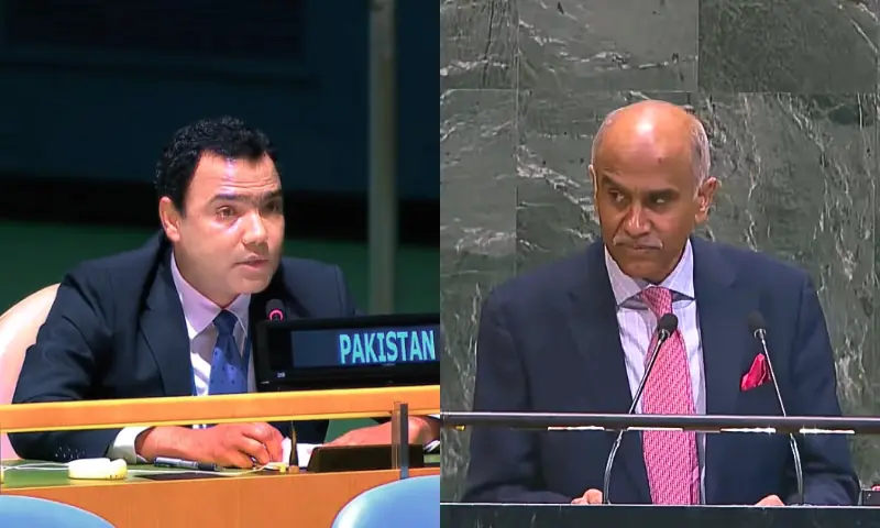 This photo combo shows Political Coordinator at the Pakistan Mission Gul Qaiser Sarwani (L) and India&rsquo;s Ambassador Parvathaneni Harish (R) at the UNSC on June 5, 2026. &mdash; X/PakistanUN_NY/IndiaUNNewYork