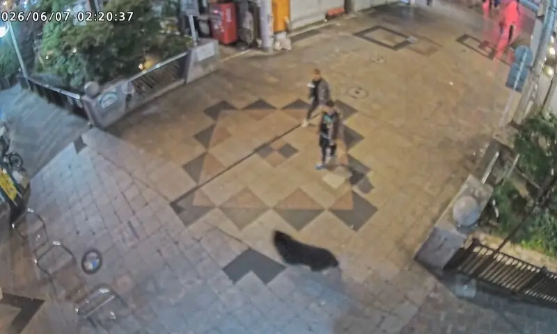 A screen grab from a surveillance footage shows a wild bear running past bystanders in a residential area in Utsunomiya, Tochigi Prefecture, Japan, on June 7, 2026. — Reuters A screen grab from a surveillance footage shows a wild bear running past bystanders in a residential area in Utsunomiya, Tochigi Prefecture, Japan, on June 7, 2026. — Reuters