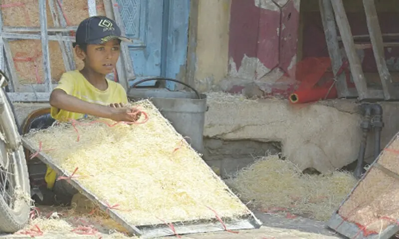 Every fourth household employs child as domestic worker in Islamabad: Sparc
