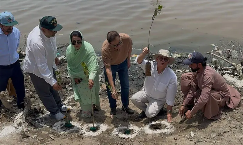 Mayor Murtaza Wahab plants, alongside others, a sapling.—Dawn Mayor Murtaza Wahab plants, alongside others, a sapling.—Dawn