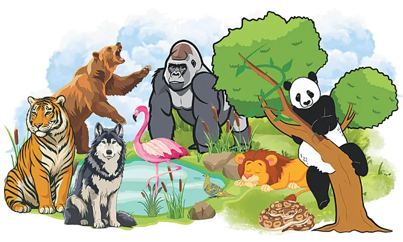 Illustration by Gazein Khan Illustration by Gazein Khan