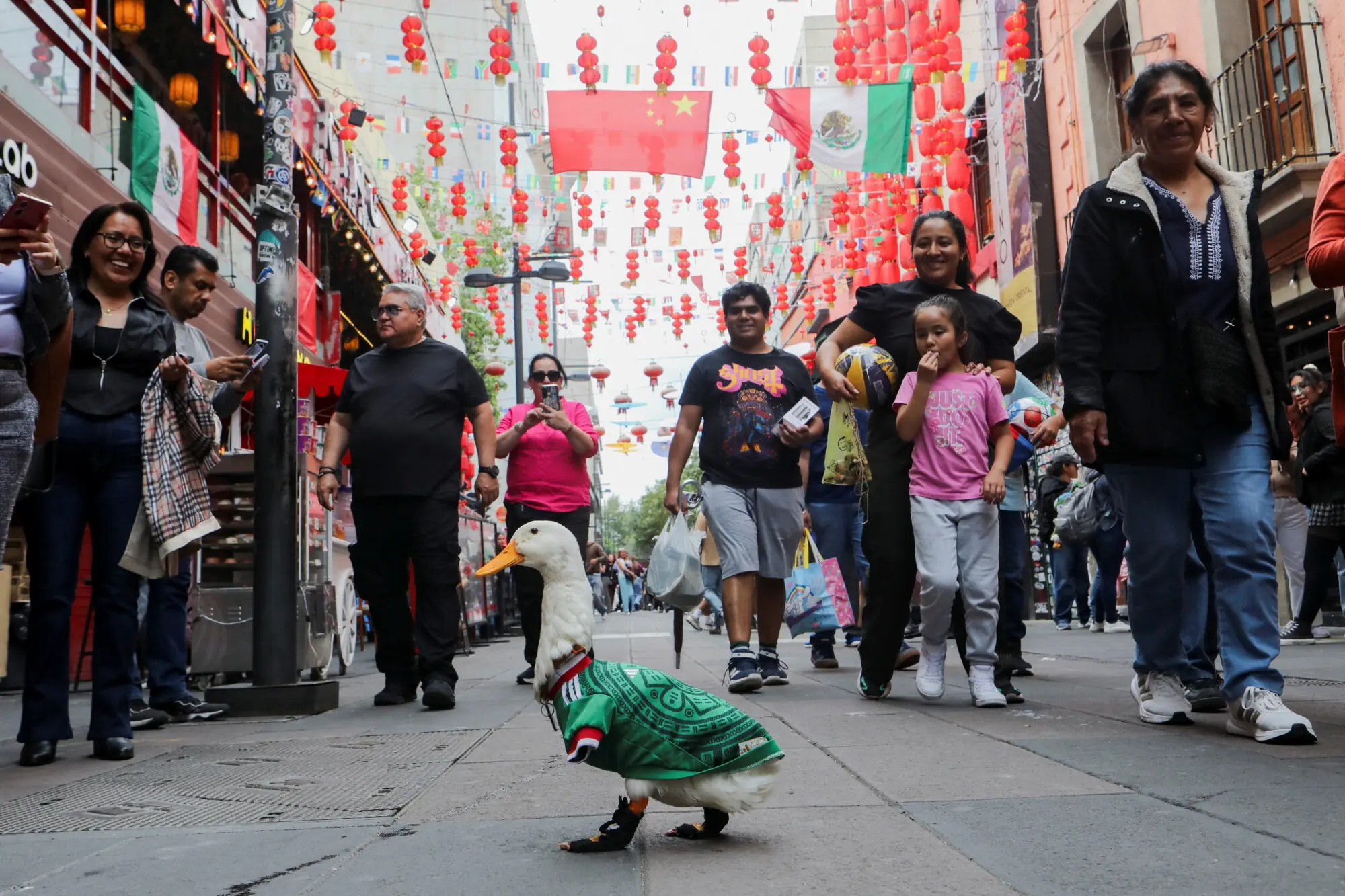 Merlin wanders the streets of Mexico City. Photo: Reuters.