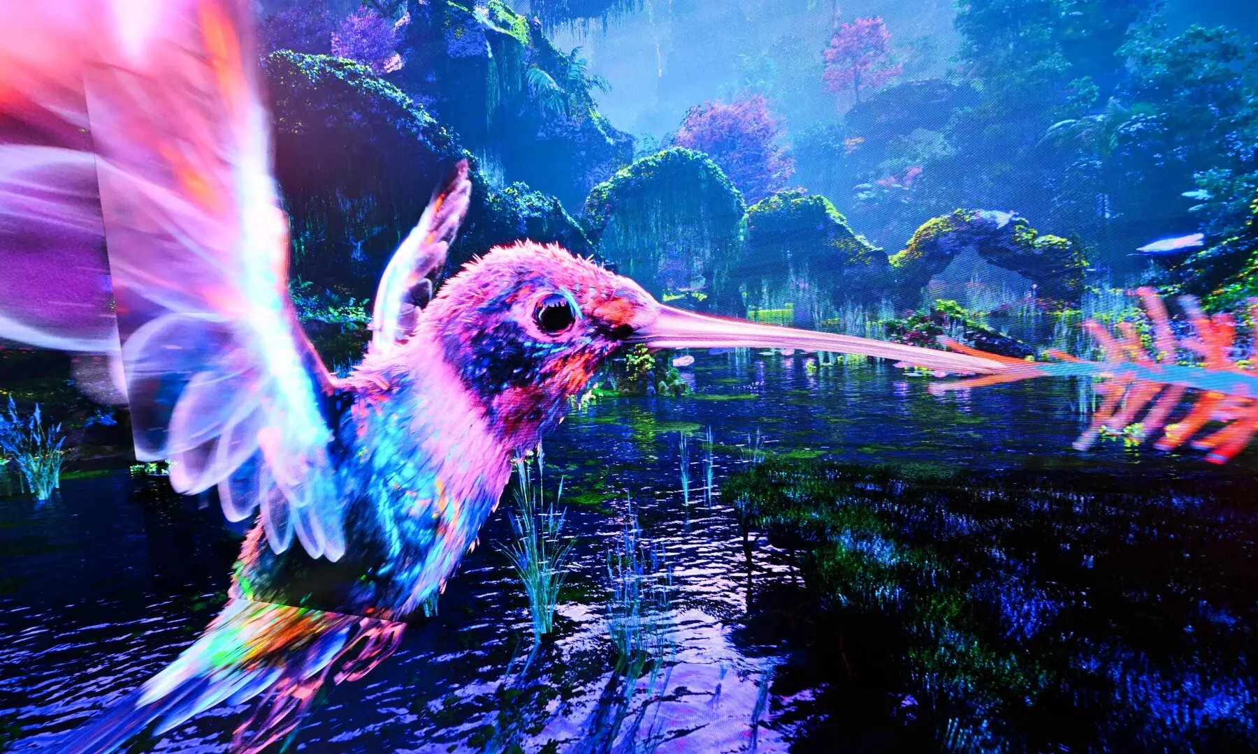Immersive visualisations from the inaugural exhibition Machine Dreams: Rainforest are projected at Dataland, the Museum of AI Arts, in Los Angeles, California on June 9, 2026. — AFP
