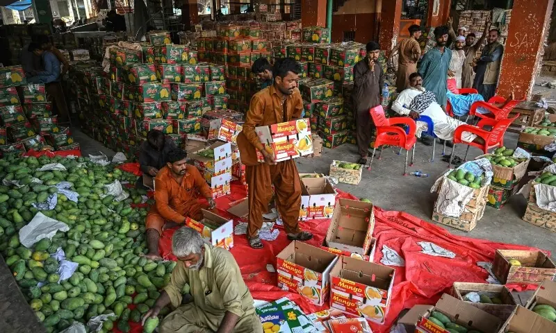 This photograph taken on June 5, 2026 shows workers packing mangoes at a market in Karachi. — AFP