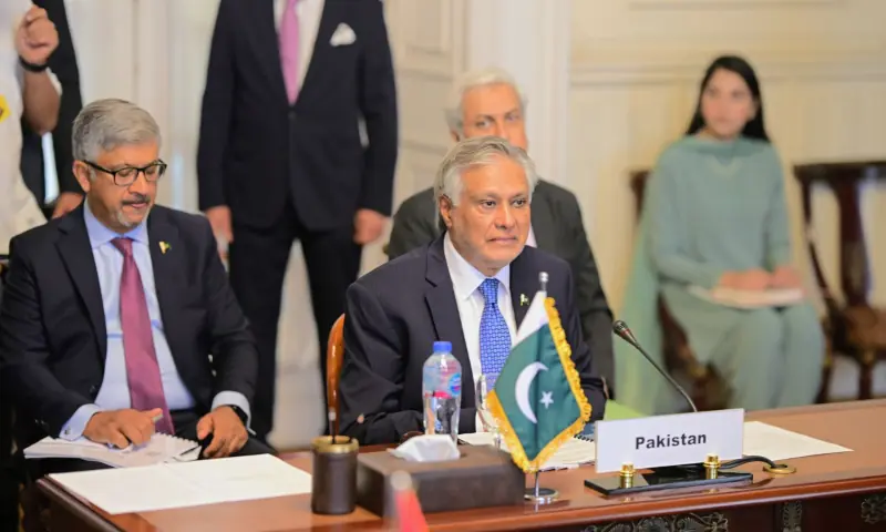 Deputy Prime Minister and Foreign Minister Ishaq Dar, during an R-4 foreign ministers' meeting in Cairo on June 21, 2026. &mdash; Photo via X/ForeignOfficePk