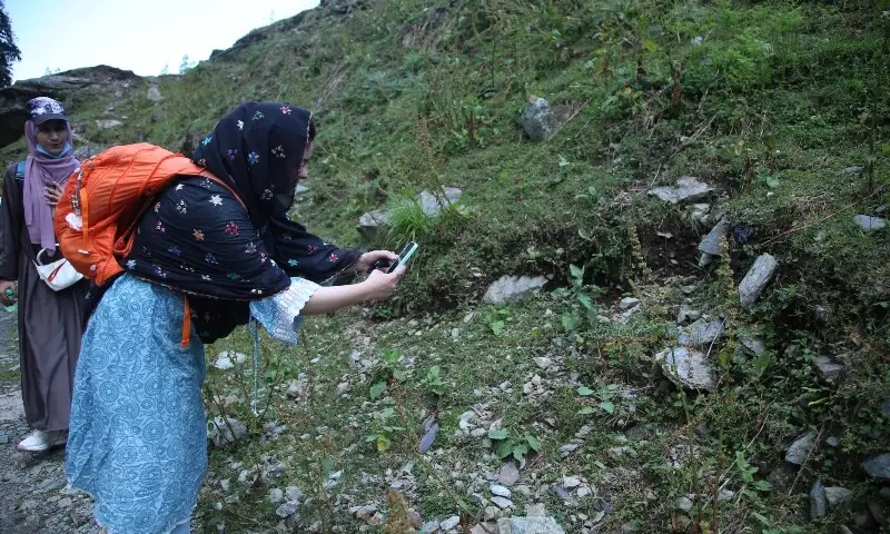A girl is taking an image using a plant identification app for research. — photo provided by author A girl is taking an image using a plant identification app for research. — photo provided by author