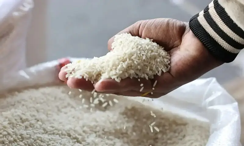 A customer checks the quality of rice at a wholesale market in Jakarta, Indonesia on Sept 22, 2025. — Reuters/File A customer checks the quality of rice at a wholesale market in Jakarta, Indonesia on Sept 22, 2025. — Reuters/File