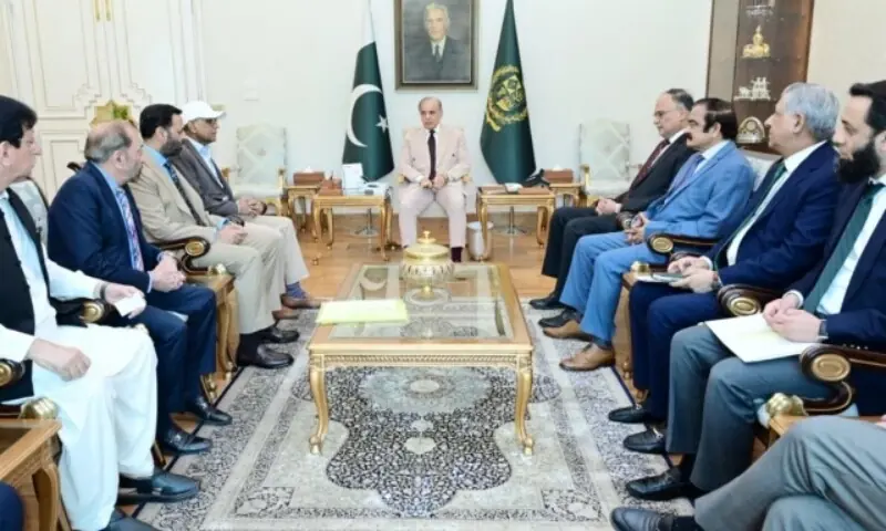 A delegation of MQM-P meets Prime Minister Shehbaz Sharif in Islamabad, on June 12.&mdash;PPI/File