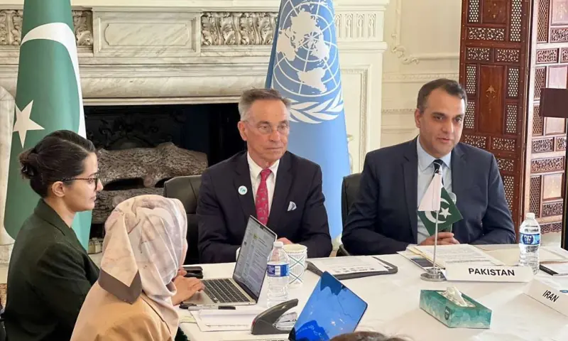 Pakistan&rsquo;s Deputy Permanent Representative to the UN Ambassador Usman Jadoon addresses a UN High-Level Meeting in New York on June 25. 2026. &mdash; X/PakistanUN_NY