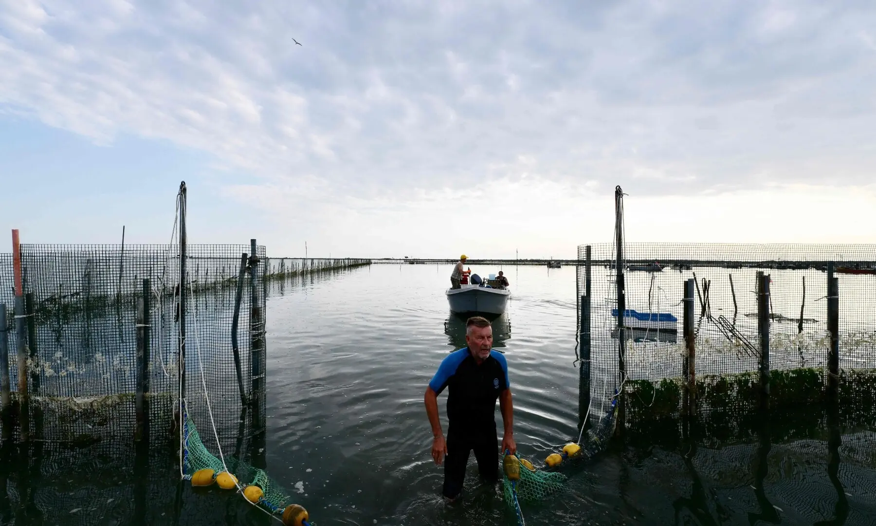 President of the Polesine Fishermen&rsquo;s Cooperatives Consortium Paolo Mancin works on the cultivation area of seaweed in the Po River Delta at Scardovari, northeastern Italy, on June 25, 2026. &mdash; AFP
