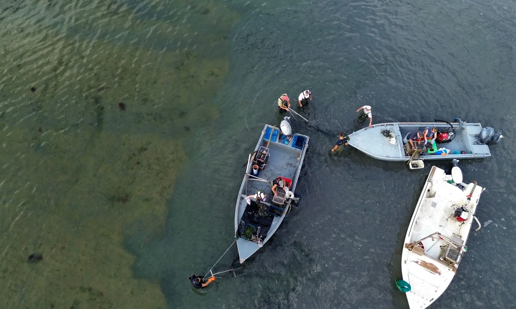An aerial view shows workers harvesting clams clearing the cultivation area of seaweed in the Po River Delta at Scardovari, Italy, northeast Italy, on June 26, 2026. &mdash; AFP