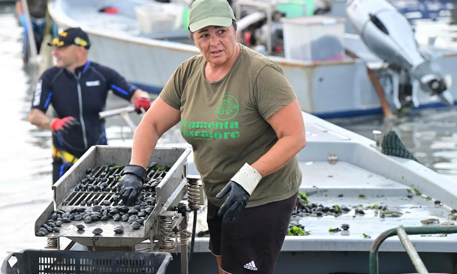 A local worker harvests clams in the cultivation area in the Po River Delta at Scardovari, Italy, northeast Italy, on June 26, 2026. &mdash; AFP