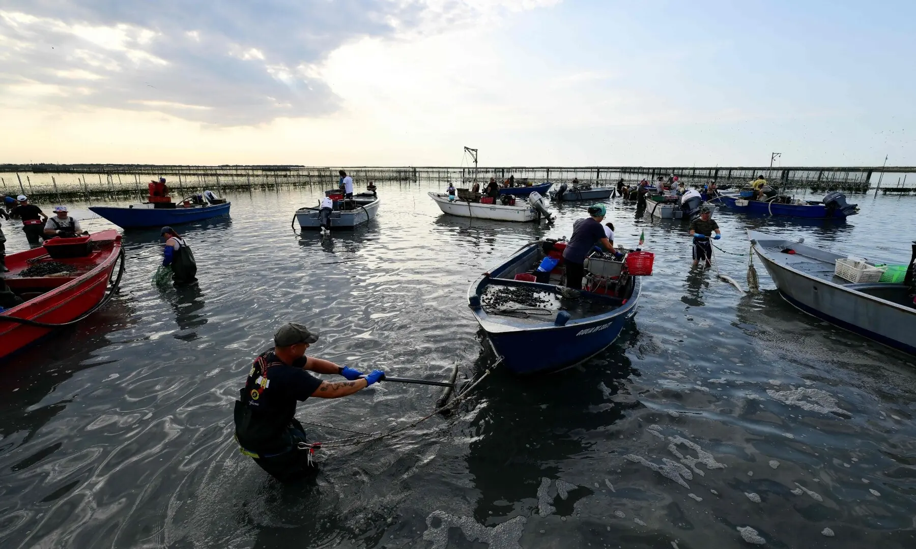 Clam harvesters work in the shallow waters of the Po River Delta at Scardovari, Italy, collecting clams by hand in the lagoon, northeast Italy, on June 26, 2026. &mdash; AFP
