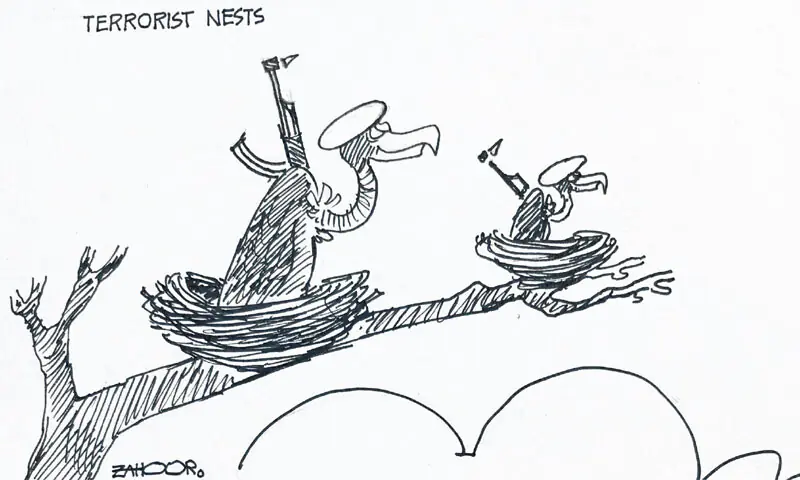 Zahoor's Cartoon