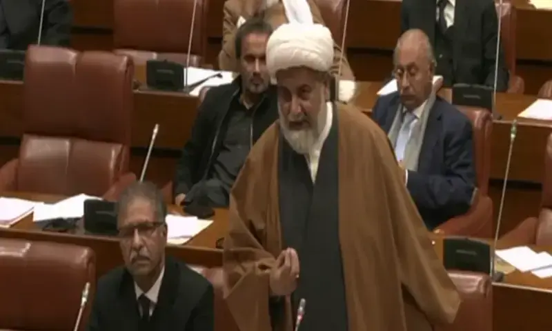 Senate Opposition Leader Allama Raja Nasir Abbas addresses the House on January 20. &mdash; Screengrab via Senate of Pakistan/ YouTube
