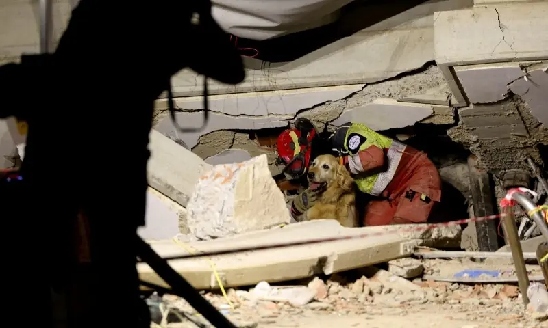 A search-and-rescue dog works at the site of a collapsed building in the aftermath of the June 24 earthquakes in La Guaira, Venezuela, July 1. — AFP