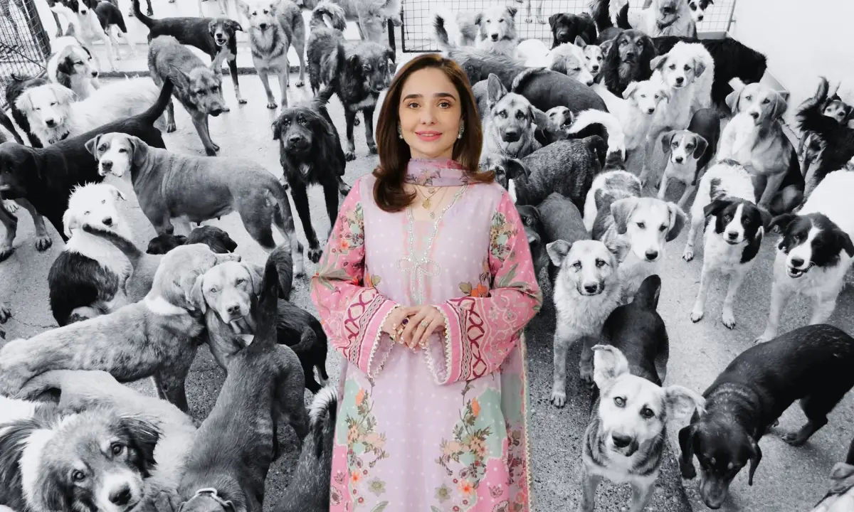 Juggun Kazim reminds us to provide water and shade to animals as the world battles high temperatures Juggun Kazim reminds us to provide water and shade to animals as the world battles high temperatures