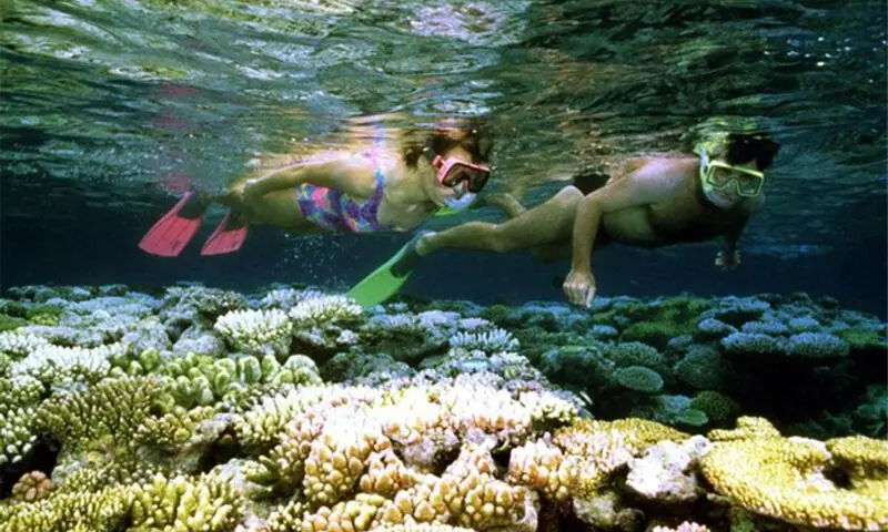 CANBERRA welcomed Unesco’s decision to maintain the World Heritage status of the reef.—Reuters/file CANBERRA welcomed Unesco’s decision to maintain the World Heritage status of the reef.—Reuters/file