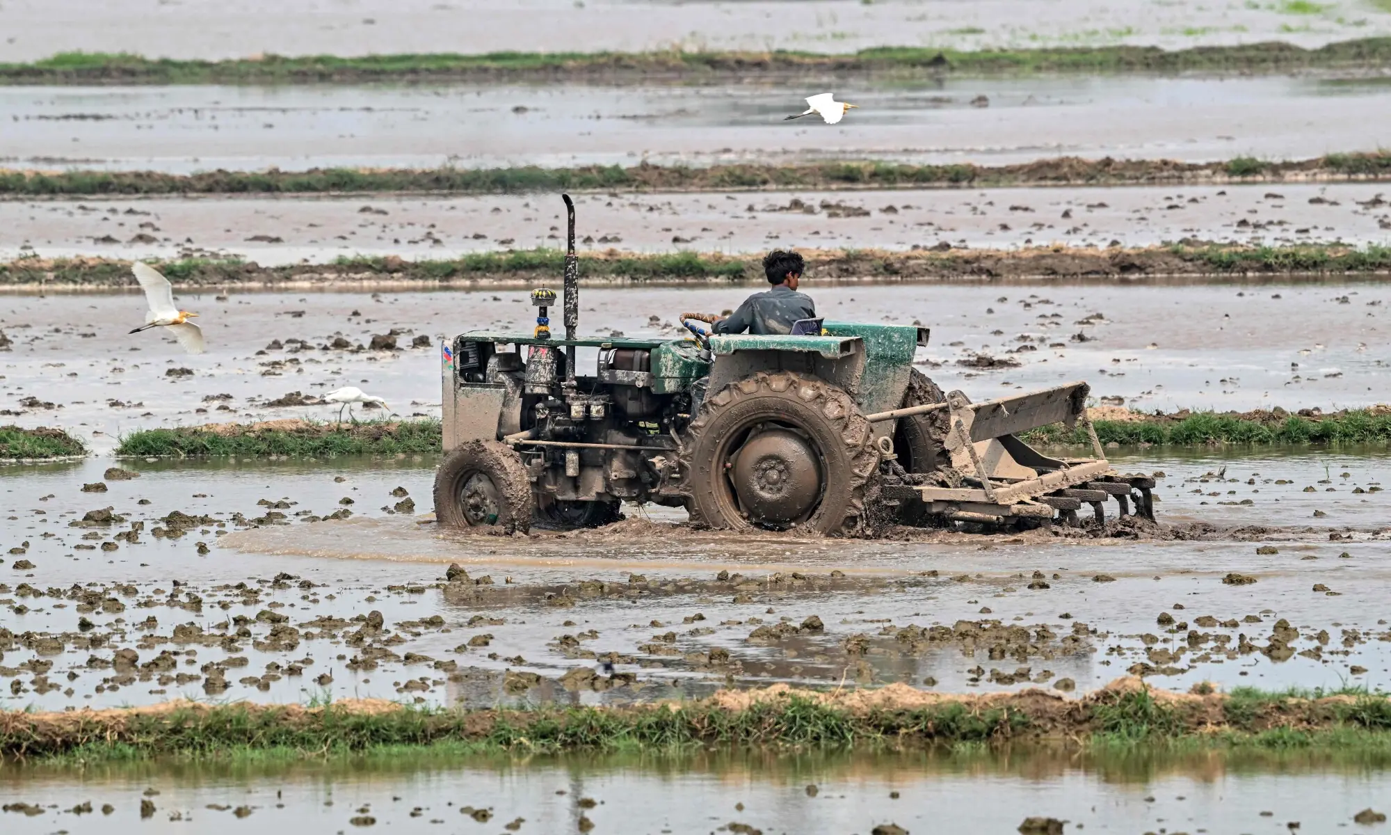 A farmer uses a tractor to plough a field on the outskirts of Lahore on July 8, 2026. &mdash; AFP