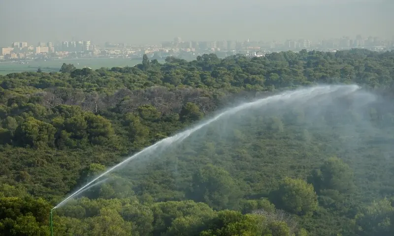 Firefighting water cannons are activated in El Saler Natural Park amid an extreme heat alert in Valencia, Spain on July 9, 2026. —Reuters Firefighting water cannons are activated in El Saler Natural Park amid an extreme heat alert in Valencia, Spain on July 9, 2026. —Reuters
