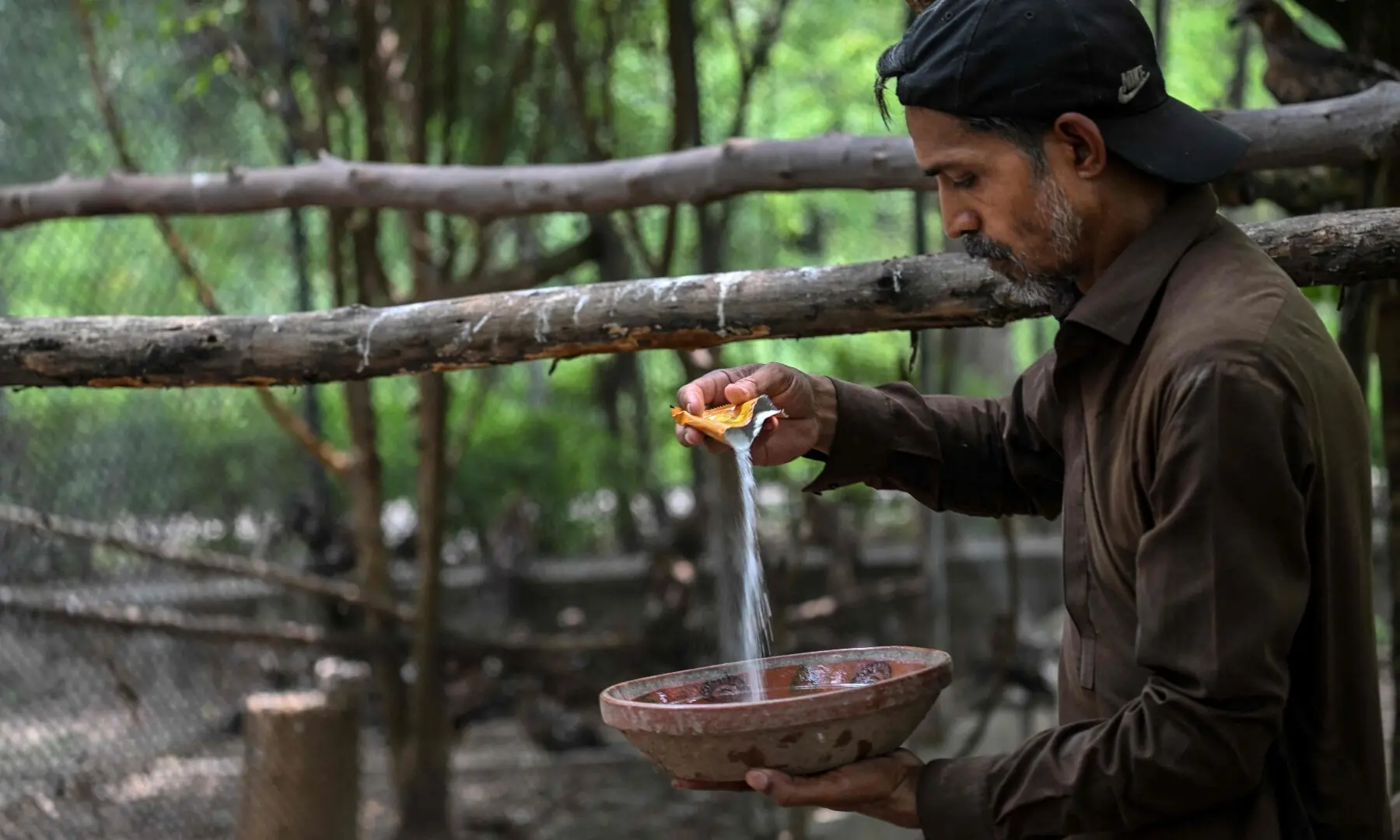 This photograph taken on July 7, 2026 shows wildlife officer Zaheer Ahmed preparing a rehydration drink for birds at the Margallah Wildlife Rescue Centre in Islamabad. —AFP
