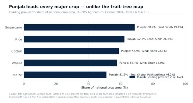  Figure 3b. Leading province&rsquo;s share of national crop area (PBS Agricultural Census 2024, Tables 6.9&ndash;6.13). Unlike fruit trees, Punjab leads every major crop. 