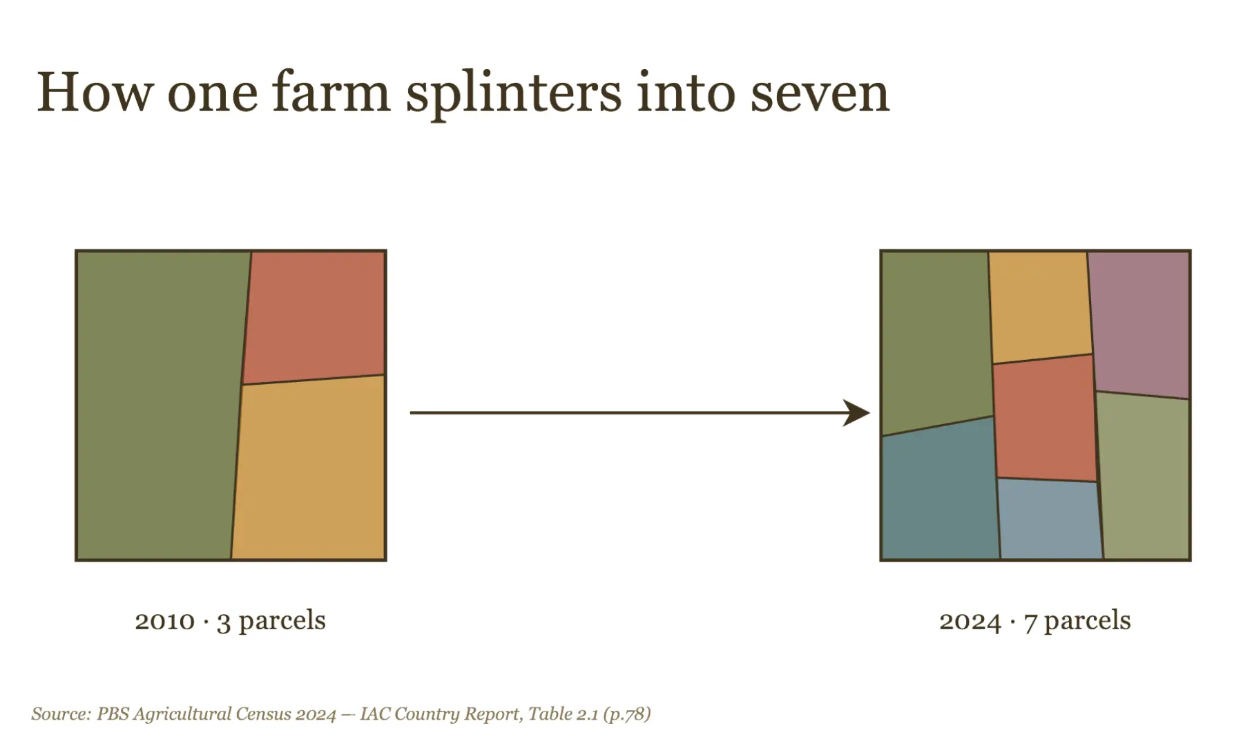 The average fragmented holding was carved from three scattered parcels into seven between the 2010 and 2024 censuses — a 133% rise in pieces per farm.