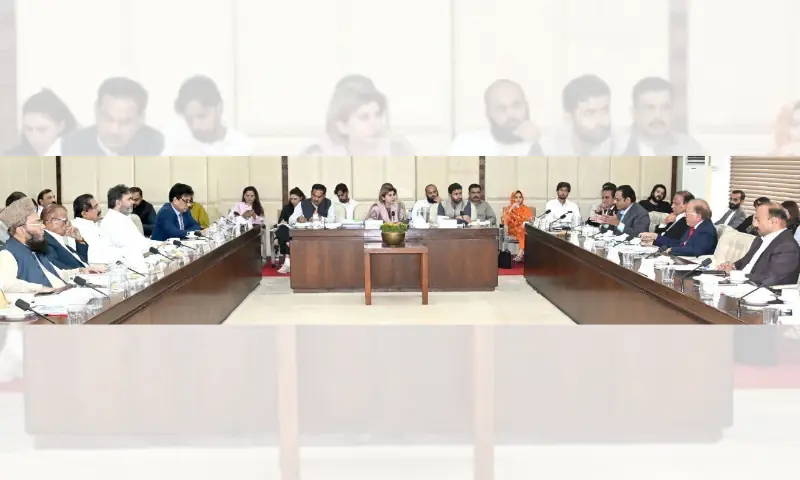 Senator Samina Mumtaz Zehri chairs a session of Senate Functional Committee on Human Rights on July 17, 2026. &mdash; @SenatePakistan/X