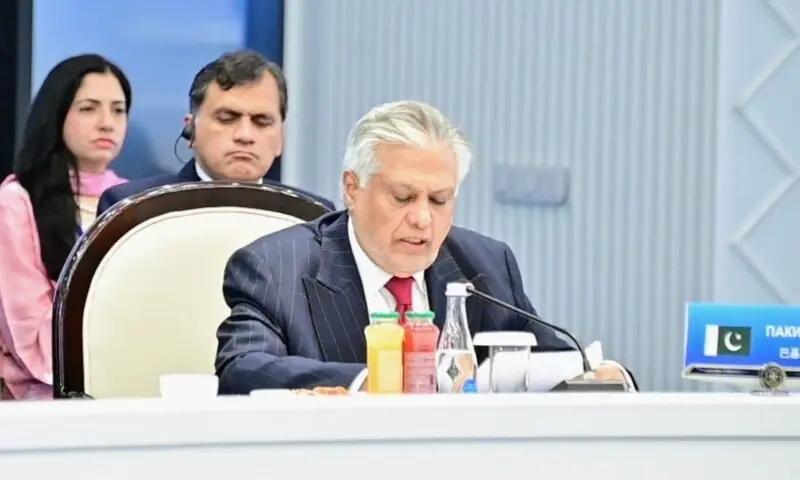 Deputy Prime Minister and Foreign Minister Ishaq Dar addresses the Shanghai Cooperation Organisation (SCO) Council of Foreign Ministers&rsquo; meeting. &mdash; DawNewsTV