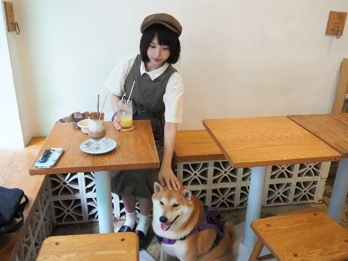 Furry friends welcome: Hong Kong is experimenting with dog-friendly dining Furry friends welcome: Hong Kong is experimenting with dog-friendly dining
