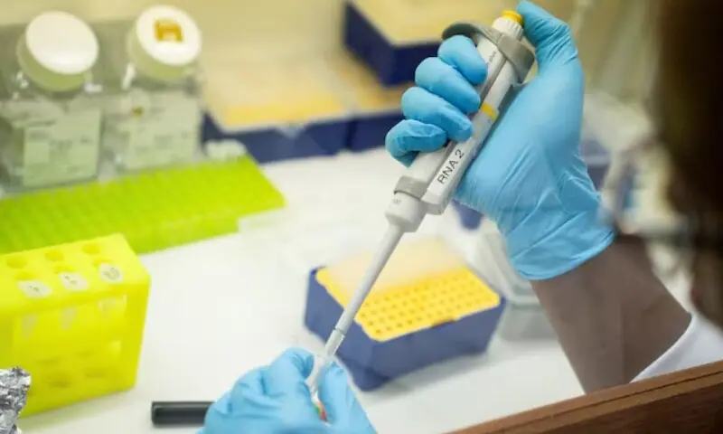 A medical laboratory technician works in a gene therapy research lab in Johannesburg, South Africa, February 14, 2025. — Reuters A medical laboratory technician works in a gene therapy research lab in Johannesburg, South Africa, February 14, 2025. — Reuters
