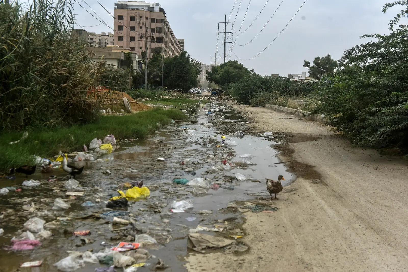 Garbage overflows onto the road in Karachi’s Gulistan-i-Jauhar.—Fahim Siddiqi / White Star