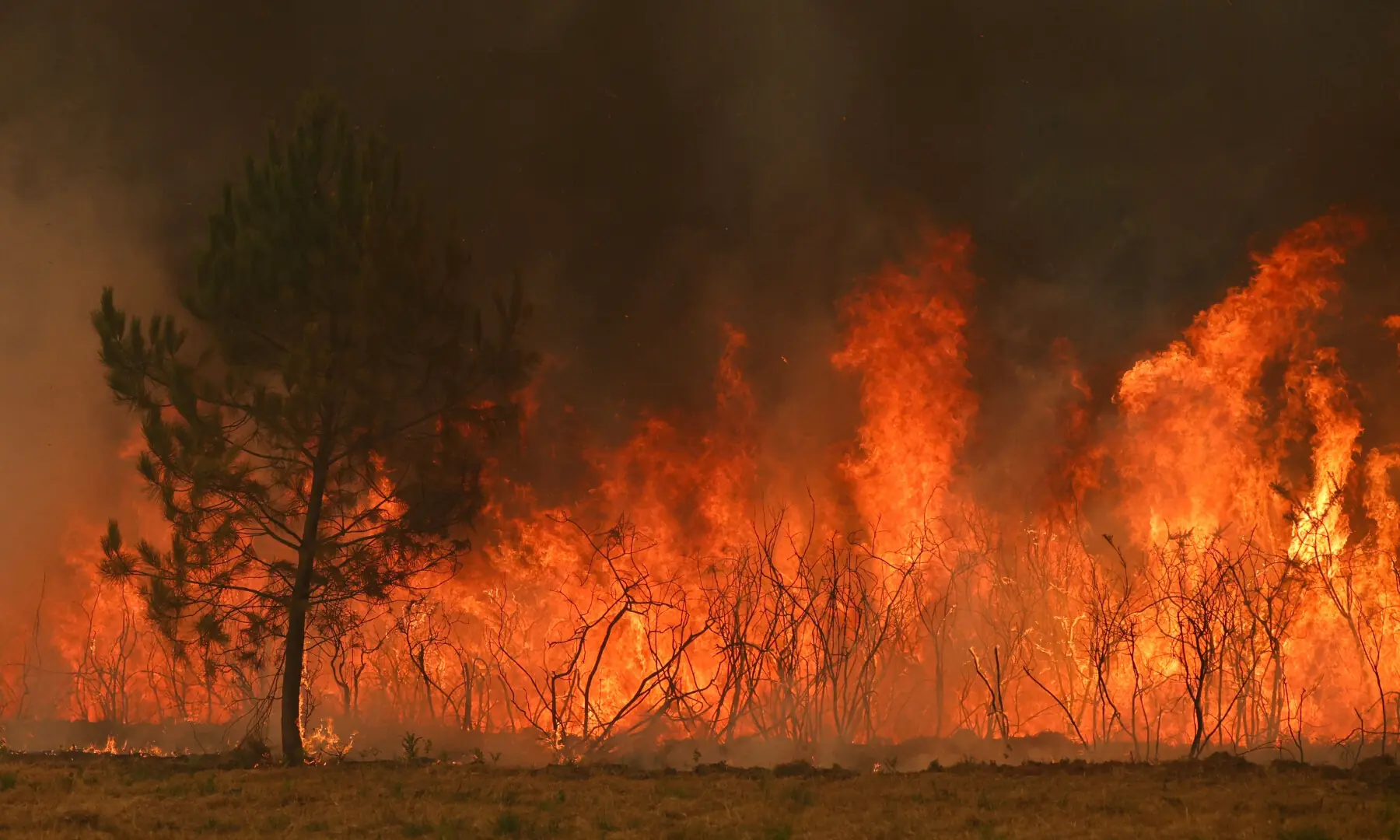 This photograph shows a wooden area engulfed in flames in Marcheprime, west of Bordeaux on July 26, 2026 as a wildfire has been ravaging the forest north of the Arcachon Basin (Gironde) since July 22. — AFP This photograph shows a wooden area engulfed in flames in Marcheprime, west of Bordeaux on July 26, 2026 as a wildfire has been ravaging the forest north of the Arcachon Basin (Gironde) since July 22. — AFP