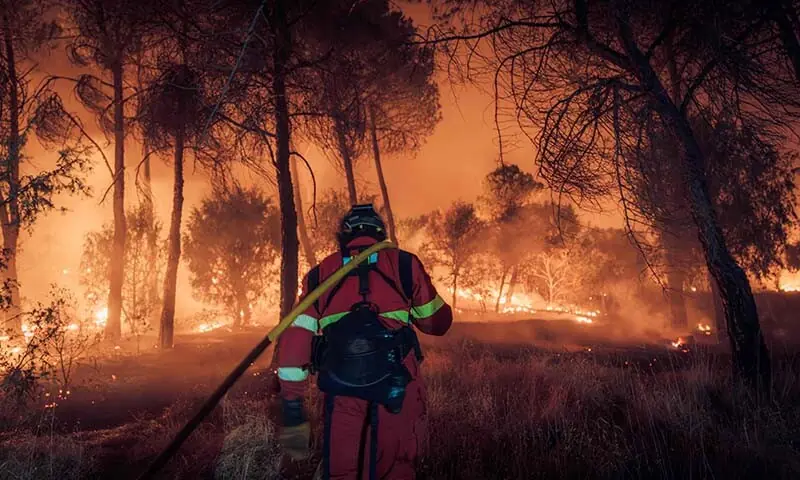 This handout photo released on July 26 and taken on July 24, 2026 by Spain’s Military Emergencies Unit (UME) shows UME personnel fighting a wildfire near Navas del Rey, 55 kilometres southwest of Madrid, Spain. — AFP
