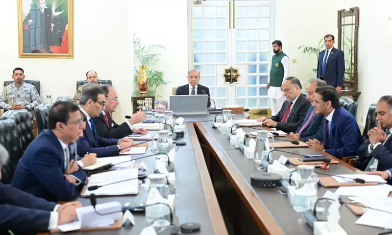 Prime Minister Shehbaz Sharif chairs a review meeting regarding rightsizing and improving efficiency of the federal government in Islamabad on 28 July 2026. &mdash; Photo courtesy PMO
