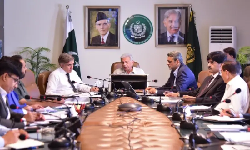 Minister for National Food Security and Research Rana Tanveer Hussain met Anita Hirsch, representative and country director of WFP on Tuesday, June 28. &mdash;APP