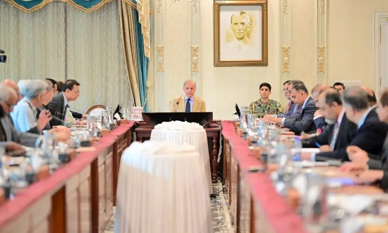 Prime Minister Muhammad Shehbaz Sharif chairs a meeting on matters related to Power Division in Islamabad, 30 July 2026. &mdash;PakPMO/X