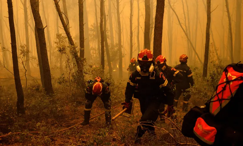 Greek firefighters try to extinguish a wildfire in the area of Porto Germeno, some 70 kilometres (45 miles) northwest of Athens in the region of Viotia, on August 1, 2026. — AFP Greek firefighters try to extinguish a wildfire in the area of Porto Germeno, some 70 kilometres (45 miles) northwest of Athens in the region of Viotia, on August 1, 2026. — AFP