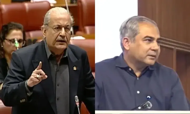 This combination photo shows PPP's Raza Rabbani (left) and Interior Minister Mohsin Naqvi. — DawnNewsTV/File This combination photo shows PPP's Raza Rabbani (left) and Interior Minister Mohsin Naqvi. — DawnNewsTV/File